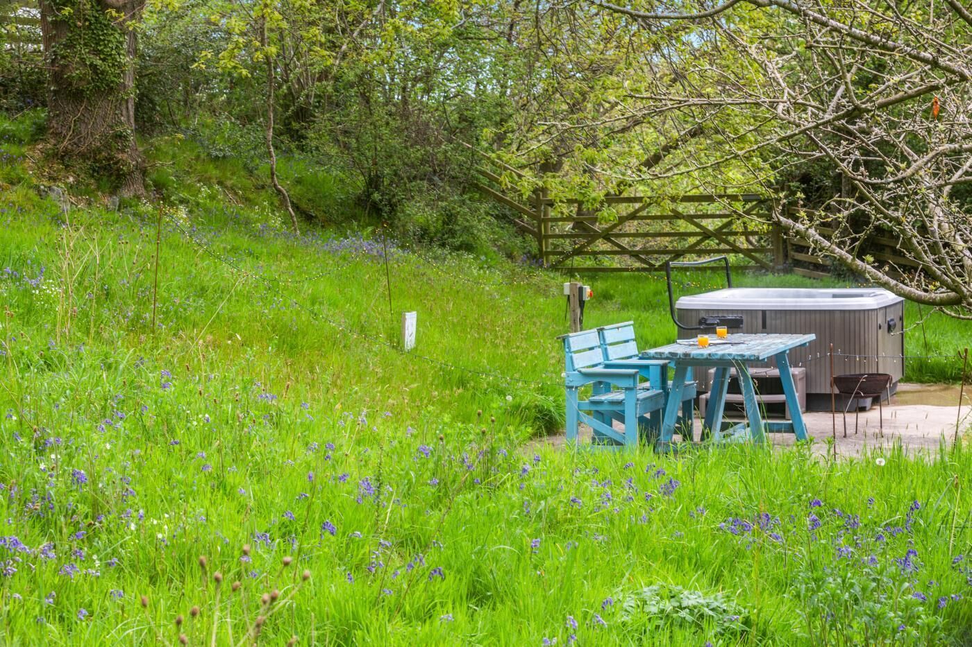 A hot tub and a table with chairs in a grassy area with trees.