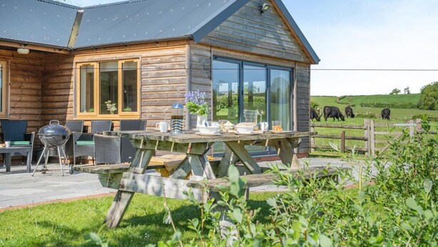 A wooden cabin with a patio, a grill, and a view of cows in a field. - 3 Bed in Bassaleg (oc-bow138) (Bassaleg)