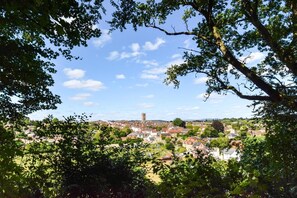 Miscellaneous - 1 Bed in Culmington (oc-t31830) (Culmington)