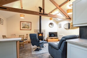 TV, fireplace - 2 Bed in Seahouses (oc-gd1314) (Seahouses)