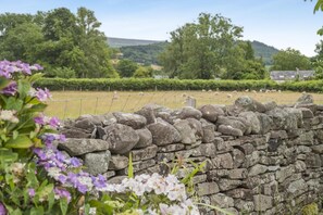 Un mur de pierres avec une clôture en fil de fer, dans un paysage rural.