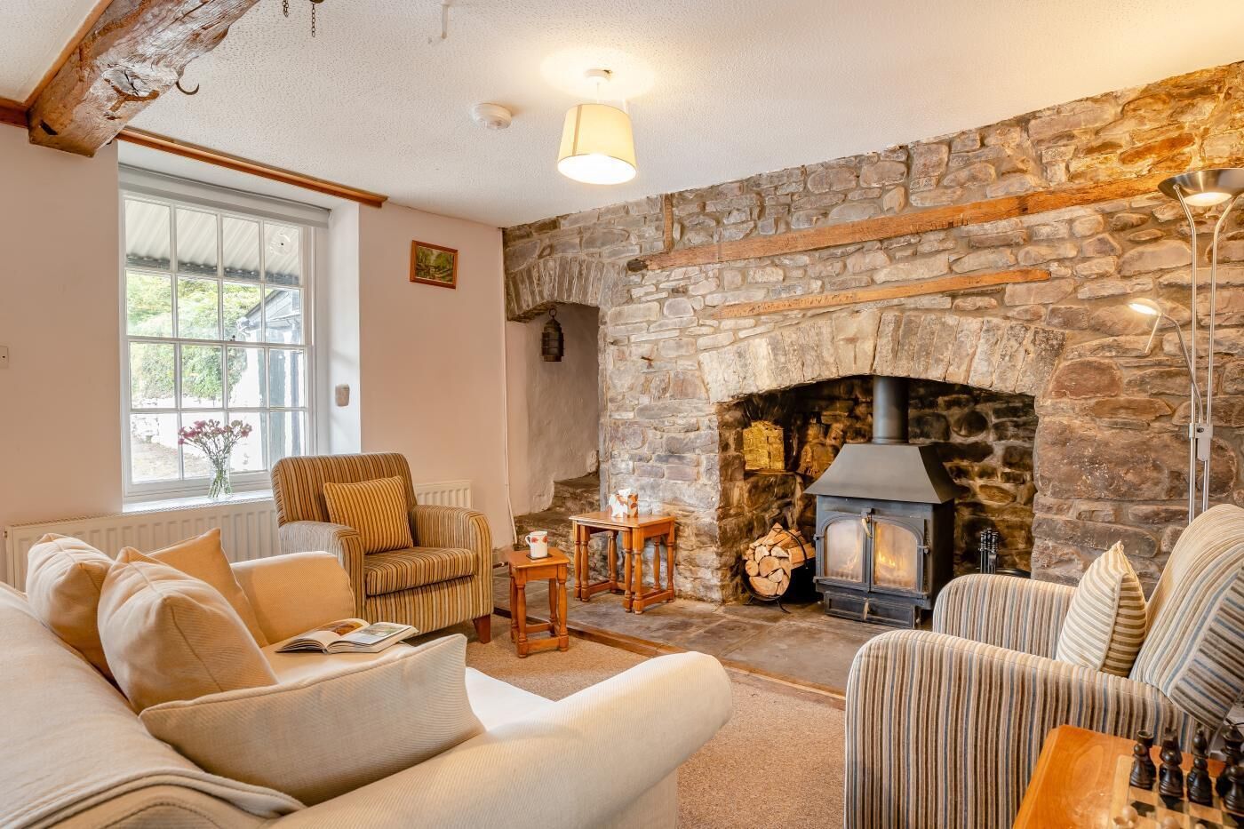 TV, fireplace