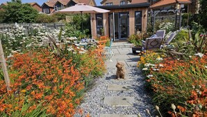 A garden pathway with a dog, surrounded by vibrant flowers and a patio area with outdoor seating. - 4 Bed in Beadnell (oc-gd1697) (Beadnell)