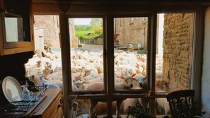 A room with a view of a sheep pen through a window. - 3 Bed in Llanvetherine (oc-g31918) (Llanvetherine)