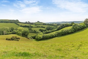 Eine Landschaft mit sanften Hügeln und vielfältiger Vegetation.