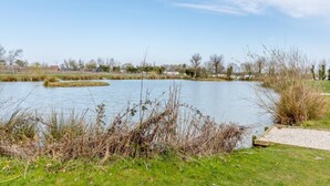 Un lago tranquilo con una orilla cubierta de hierba y un camino de madera.