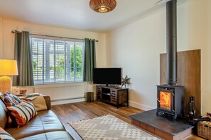 TV, fireplace - 1 Bed in Summercourt (oc-b31829) (Summercourt)