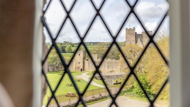 Blick auf ein Schloss durch ein Maschendrahtgitter, mit einer Rasenfläche und einem Weg zum Eingang.