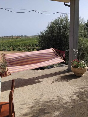 A hammock under a pergola with a view of a vineyard. - Country house in an olive grove, 8 km from the Ionian Sea (Bernalda)
