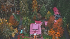 Vue aérienne d’un quartier résidentiel, où l’on aperçoit une maison remarquable avec un toit rouge, entourée d’arbres aux feuilles d’automne.