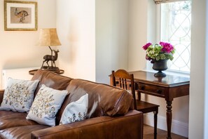 Televisión y chimenea