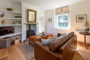 Televisión y chimenea