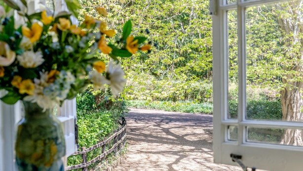 Une vue à travers une fenêtre sur un chemin pavé bordé de verdure, avec une clôture en bois d’un côté.