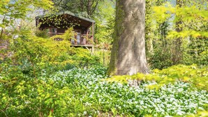A wooden cabin surrounded by lush greenery and white flowers. - 1 Bed in Milton Abbas (oc-w32019) (Milton Abbas)