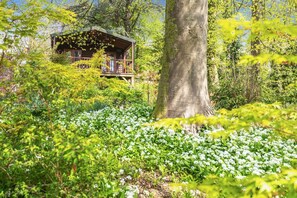 Property grounds - 1 Bed in Milton Abbas (oc-w32019) (Milton Abbas)