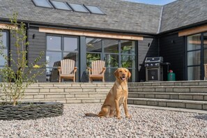 Property grounds - 4 Bed in Rattray (oc-e31983) (Alyth)