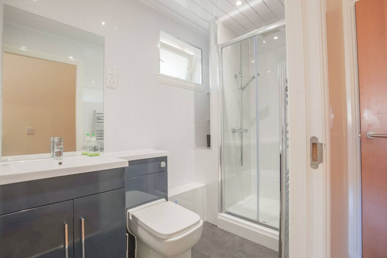 Shower, hair dryer