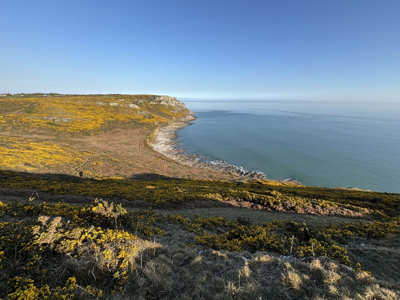 Un paisaje costero con un acantilado, terreno cubierto de hierba y vista al mar.