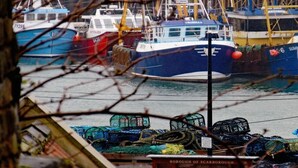 A harbor with several boats docked, including a blue boat with 'WYVILLESS' written on it. - 2 Bed in Scarborough (oc-s027) (Scarborough)