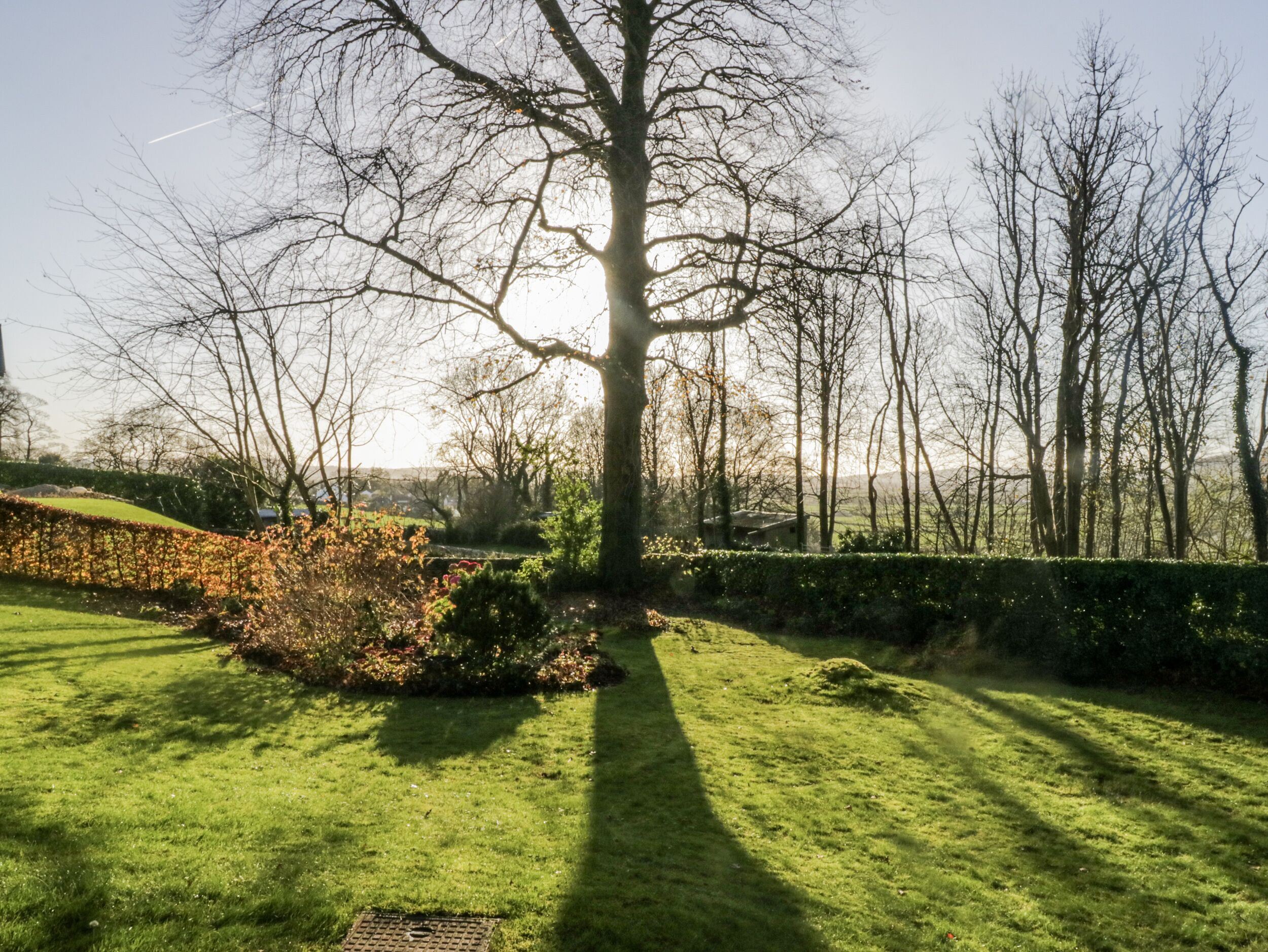 A well-maintained grassy area with a large tree casting a shadow, surrounded by a hedge and a stone wall.