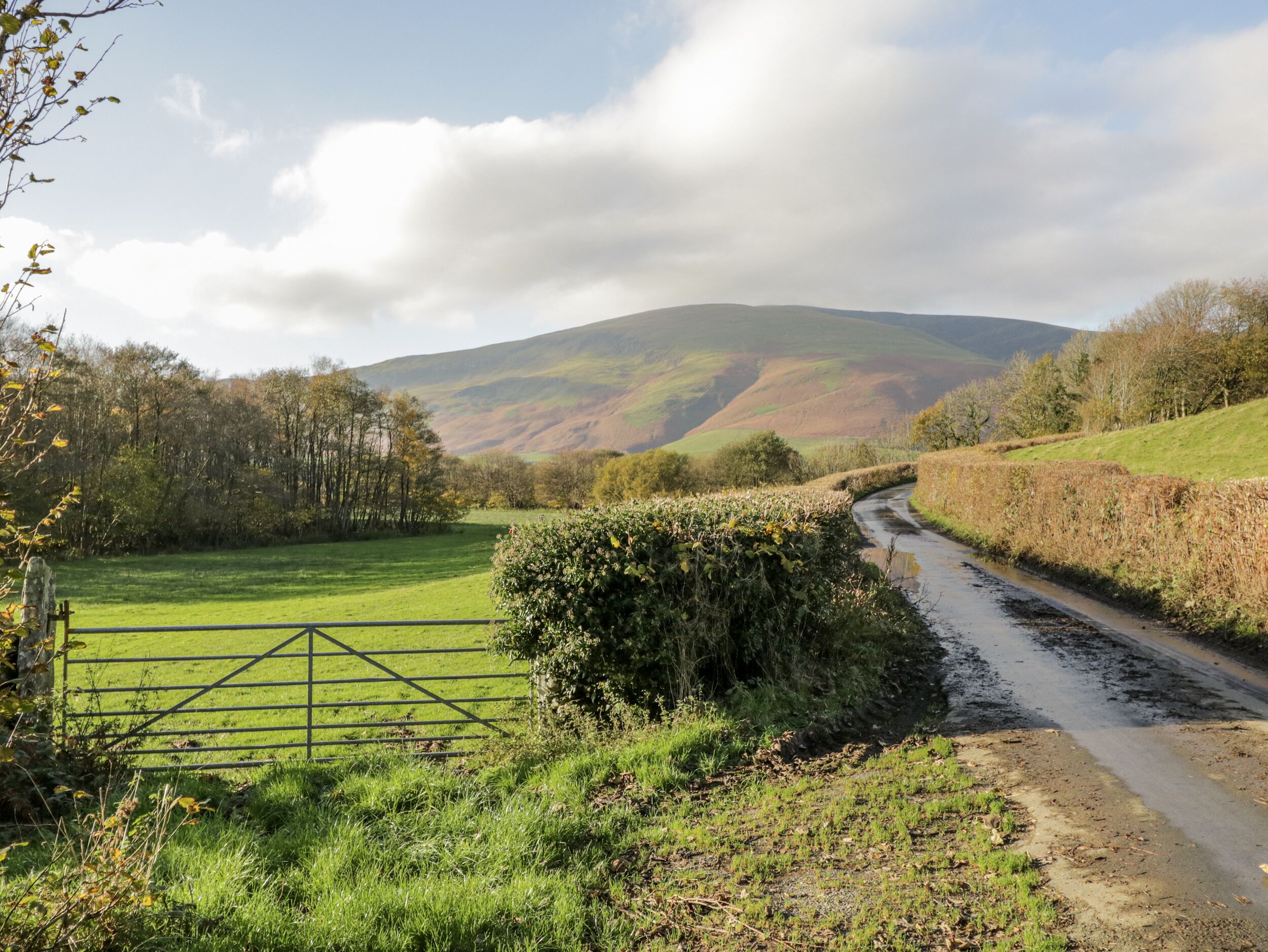 Ländliche Landschaft mit einer schmalen Straße, grünen Feldern und Hügeln im Hintergrund.