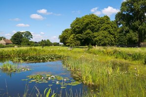 Property grounds - 1 Bed in Frampton On Severn (oc-c32001) (Frampton on Severn)