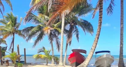 Beach view, Hammocks on roof, Quick walk to beach