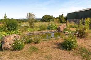 A garden with a pond, rocks, and a solar panel.