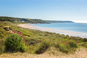 Un paysage côtier avec une plage de sable, des dunes herbeuses et un ciel bleu dégagé.