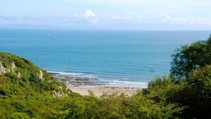 Un paysage côtier avec une plage, de la végétation et une vue dégagée sur la mer.