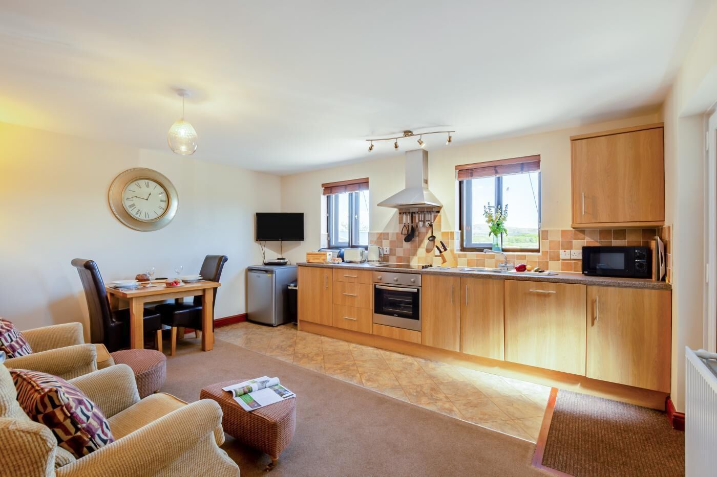 Microondas, horno, lavavajillas y periquera 