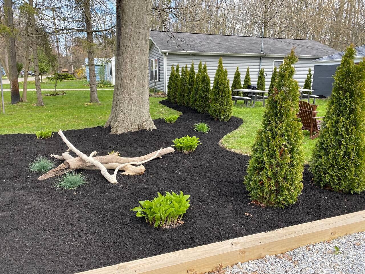 A landscaped garden with a tree, young plants, and a wooden bench.