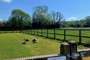 Property grounds - 2 Bed in Shipham (oc-s31934) (Shipham)