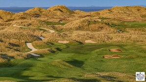 Een golfbaan met glooiend terrein, een slingerend pad en een vlag die de hole markeert.