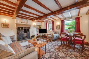 تلفزيون، مدفأة