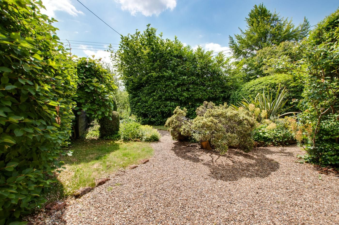 Ein Kiesweg führt durch einen Garten mit verschiedenen Sträuchern und Bäumen.