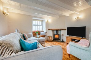 TV, fireplace - 3 Bed in Egloshayle (oc-m32201) (Egloshayle)