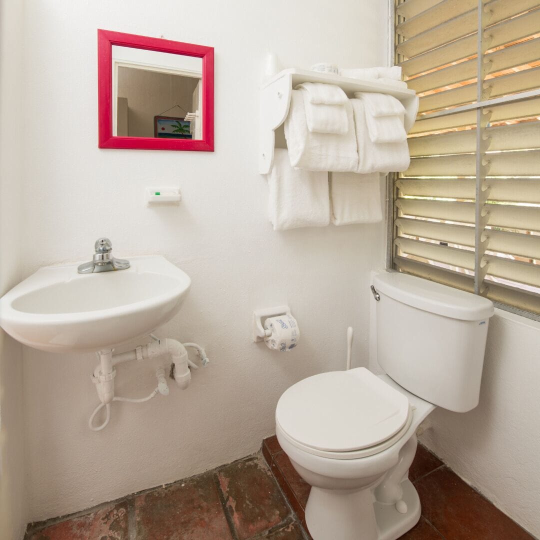 ベーシック 4 人部屋 禁煙 バルコニー | バスルーム | シャワー、タオル、石鹸、シャンプー