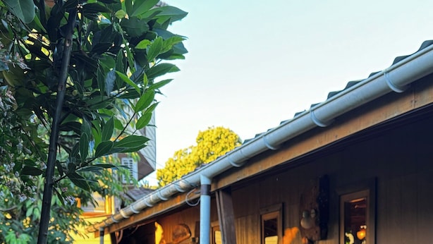 A wooden house with a porch, surrounded by lush greenery.