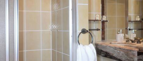 Regadera, secadora de cabello, toallas, shampoo