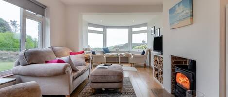 Televisión y chimenea