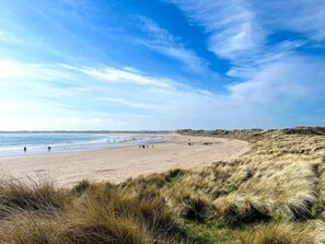 Ein Strand mit Dünen und blauem Himmel.