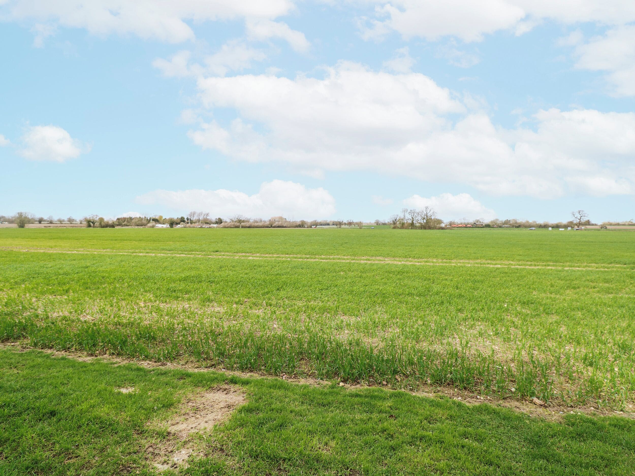 Een uitgestrekt groen veld met een heldere lucht en enkele wolken.