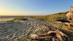 A sandy beach with dunes and driftwood. - 4 Bed in Berrow (oc-h32250) (Berrow)