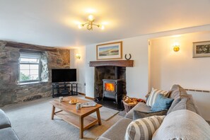 تلفزيون، مدفأة