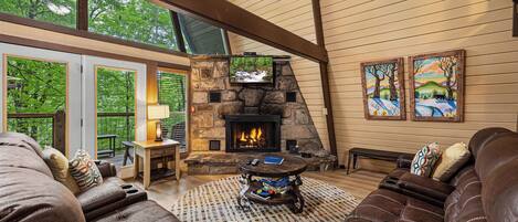 Télévision, cheminée, jeux vidéo, lecteur de DVD