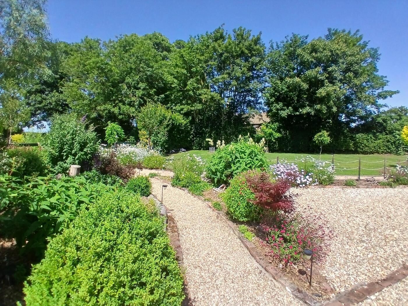 A garden with various plants and a gravel path.