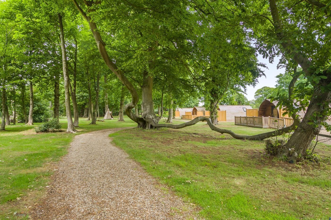 Overnattingsstedets uteområder