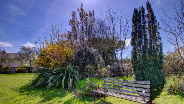 Un banc dans un jardin où l’on trouve différentes plantes et arbres.