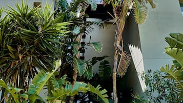 4 habitaciones